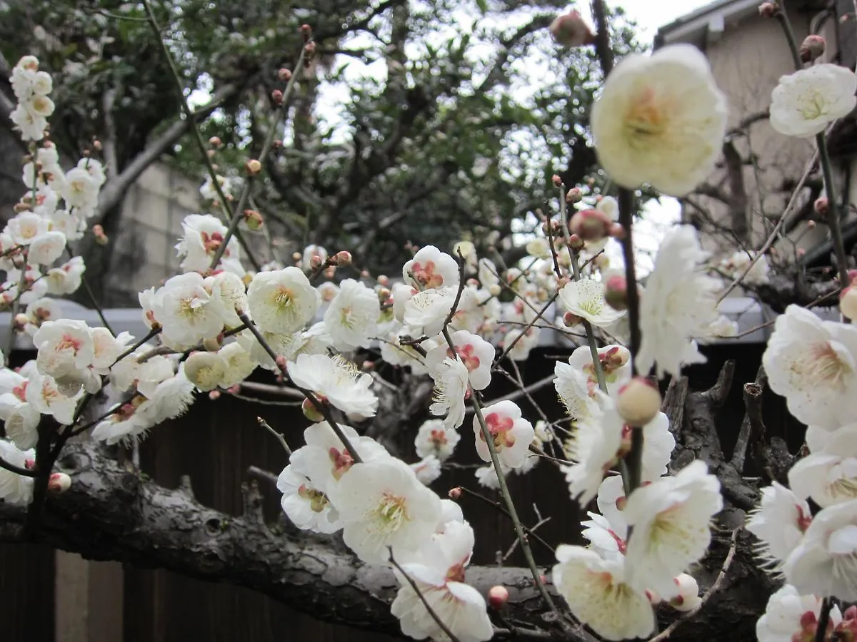 Hotel Yadoya Nishijinso Kyōto Ryokan